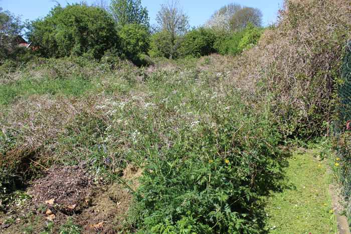 Waste Ground