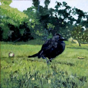 Balby Garden Baby Crow