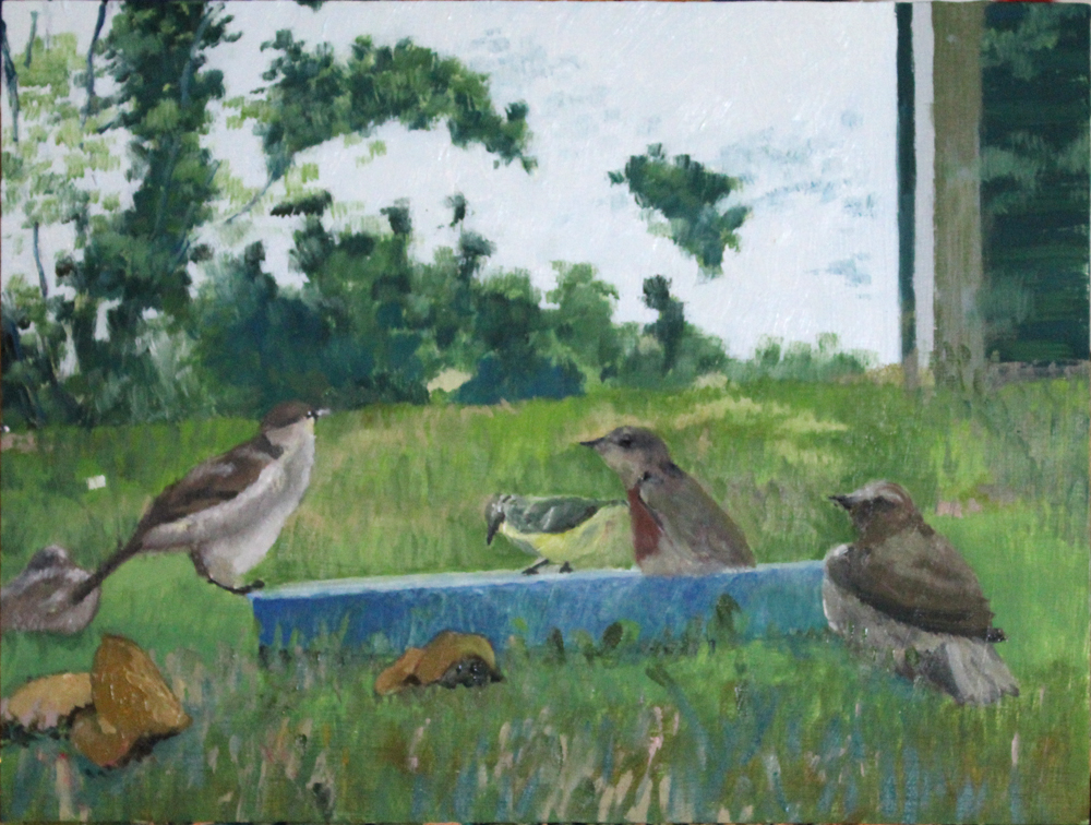 Birds Do It