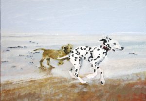 dogs on beach